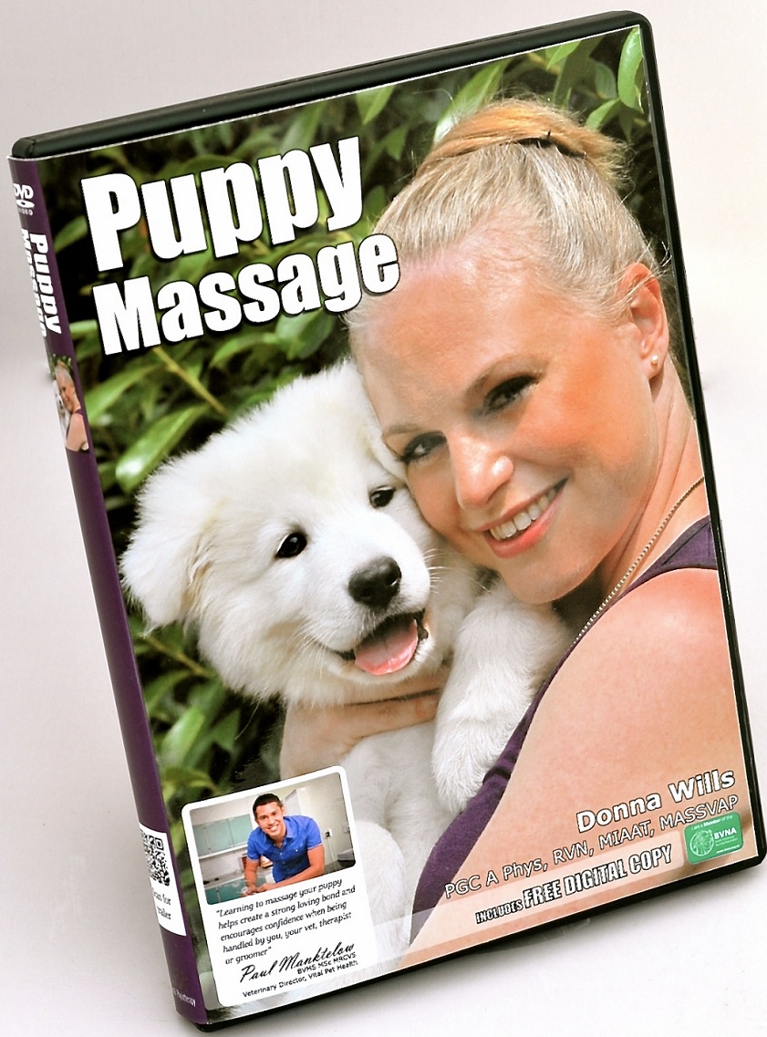 Puppy Massage DVD pre-release order. Release date 20th August 2016
