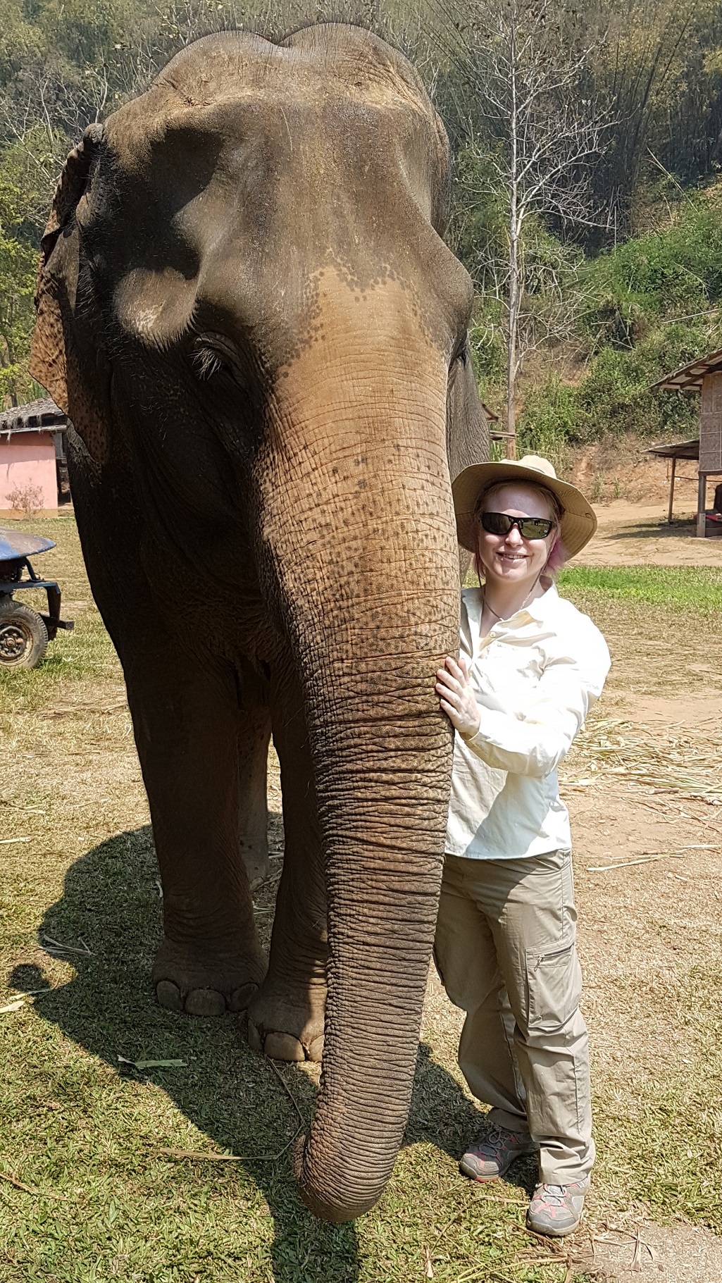 Thailand Elephant CPD