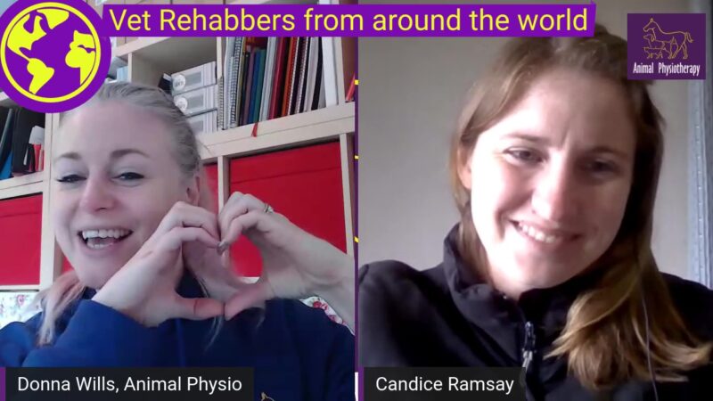 Vet rehabbers from around the World! Candice Ramsay
