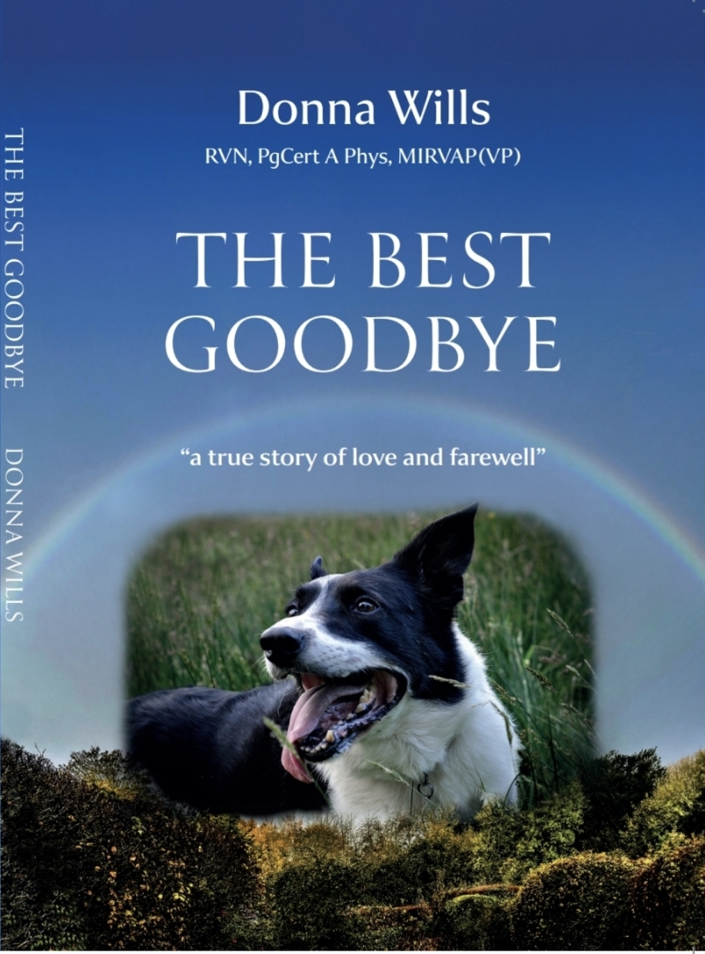 The Best Goodbye