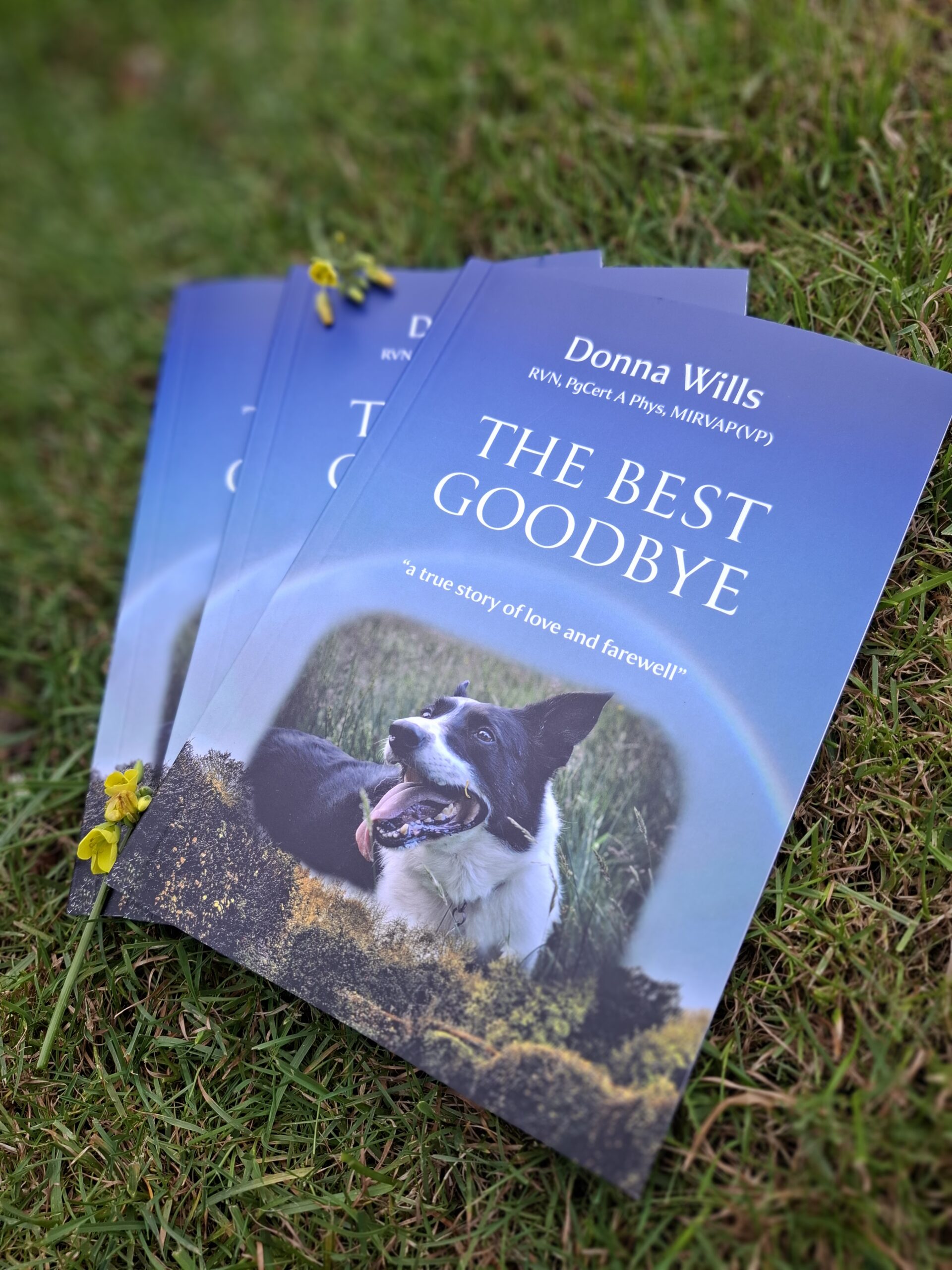 The Best Goodbye is now printed