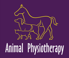 Animal Physiotherapy Ltd.