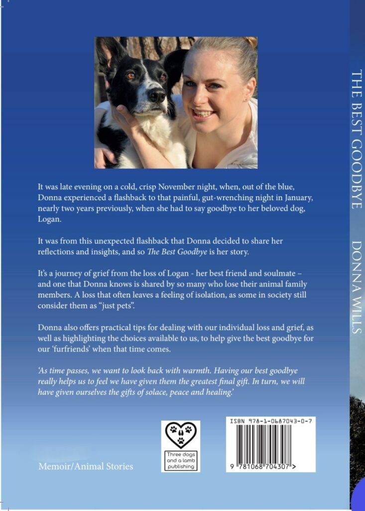 The Back of the book, The best goodbye. Showing the Blurb